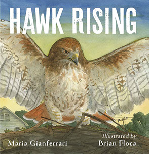 Hawk Rising